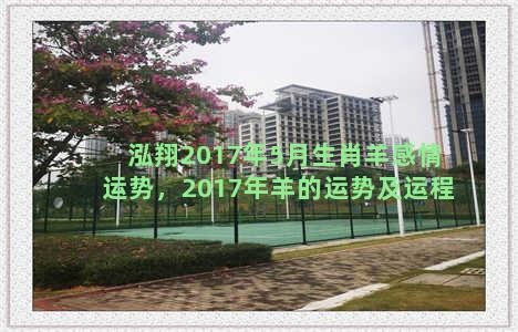 泓翔2017年5月生肖羊感情运势，2017年羊的运势及运程